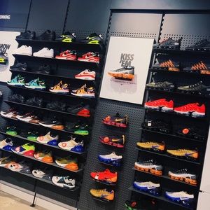 Meet your Posher, Sully